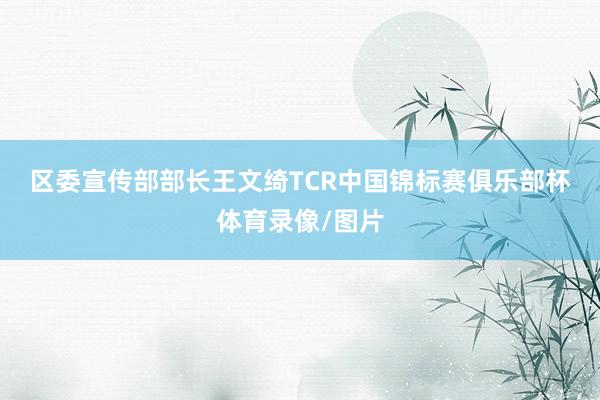 区委宣传部部长王文绮　　TCR中国锦标赛俱乐部杯体育录像/图片