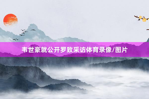 韦世豪就公开罗致采访体育录像/图片