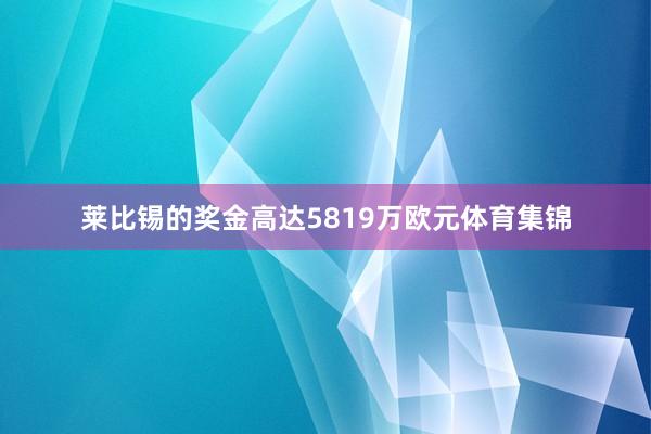 莱比锡的奖金高达5819万欧元体育集锦