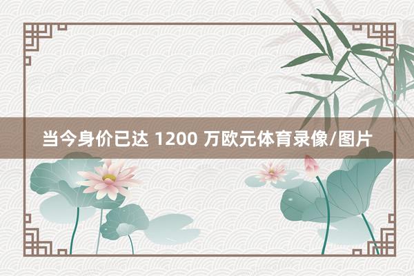 当今身价已达 1200 万欧元体育录像/图片