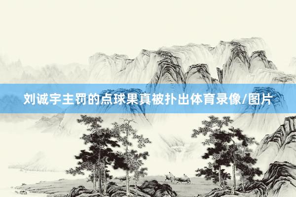 刘诚宇主罚的点球果真被扑出体育录像/图片
