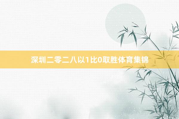 深圳二零二八以1比0取胜体育集锦