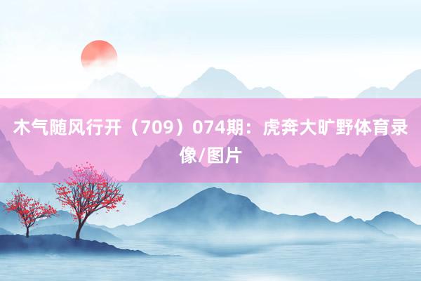 木气随风行开（709）　　074期：虎奔大旷野体育录像/图片