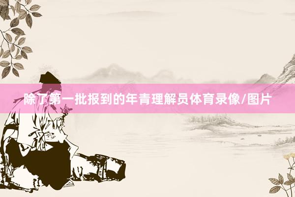 除了第一批报到的年青理解员体育录像/图片