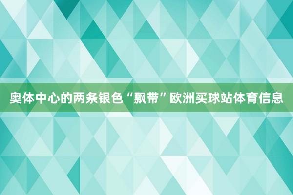 奥体中心的两条银色“飘带”欧洲买球站体育信息