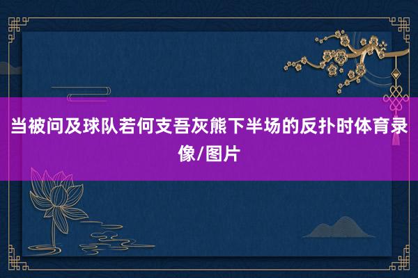 当被问及球队若何支吾灰熊下半场的反扑时体育录像/图片