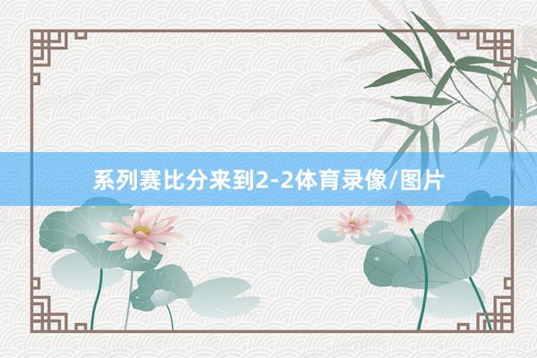 系列赛比分来到2-2体育录像/图片