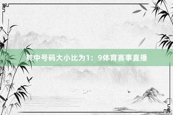 其中号码大小比为1:9体育赛事直播