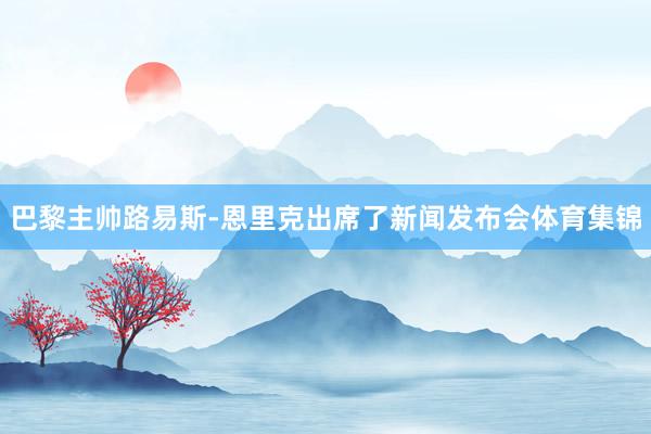 巴黎主帅路易斯-恩里克出席了新闻发布会体育集锦