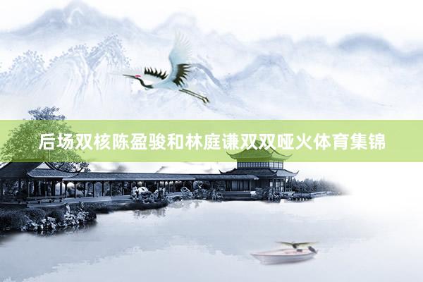 后场双核陈盈骏和林庭谦双双哑火体育集锦