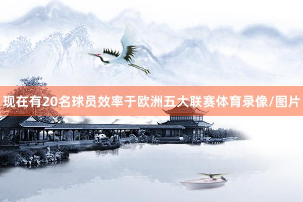 现在有20名球员效率于欧洲五大联赛体育录像/图片