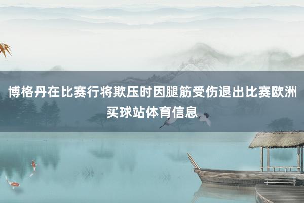 博格丹在比赛行将欺压时因腿筋受伤退出比赛欧洲买球站体育信息