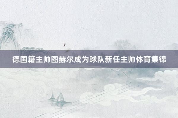 德国籍主帅图赫尔成为球队新任主帅体育集锦