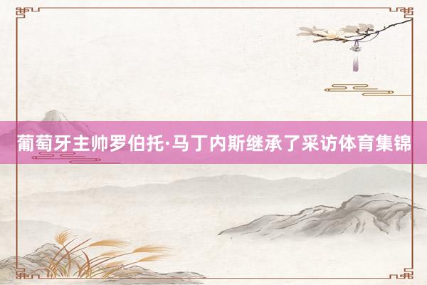 葡萄牙主帅罗伯托·马丁内斯继承了采访体育集锦