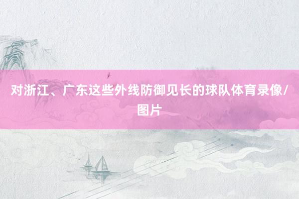 对浙江、广东这些外线防御见长的球队体育录像/图片