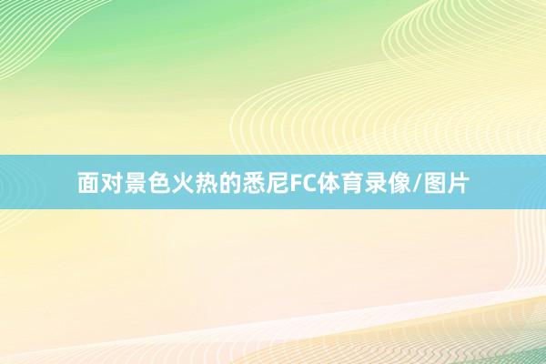 面对景色火热的悉尼FC体育录像/图片