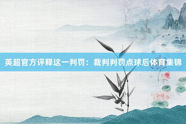 英超官方评释这一判罚：裁判判罚点球后体育集锦