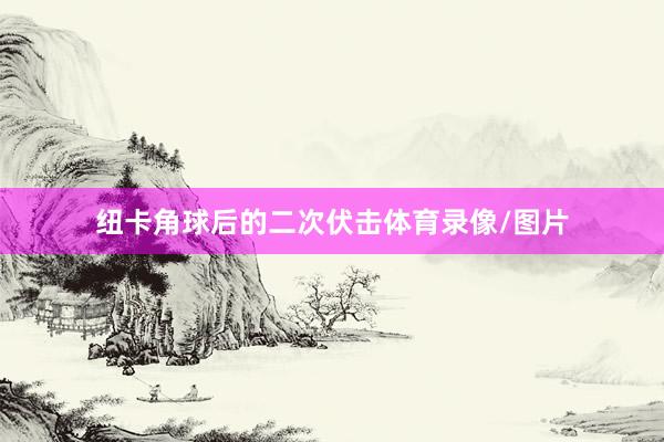纽卡角球后的二次伏击体育录像/图片
