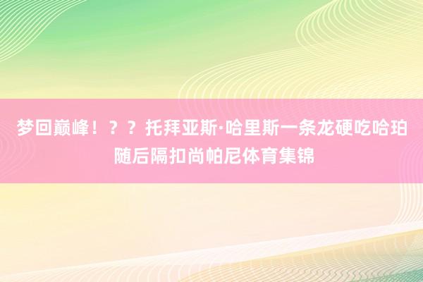 梦回巅峰！？？托拜亚斯·哈里斯一条龙硬吃哈珀 随后隔扣尚帕尼体育集锦