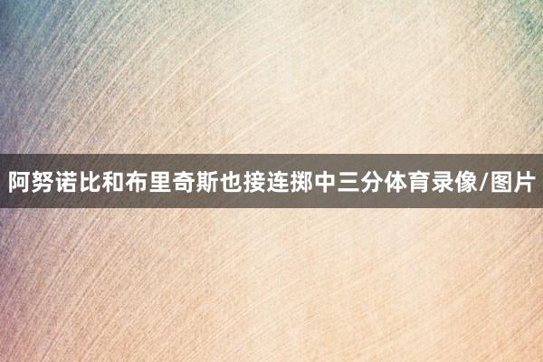阿努诺比和布里奇斯也接连掷中三分体育录像/图片