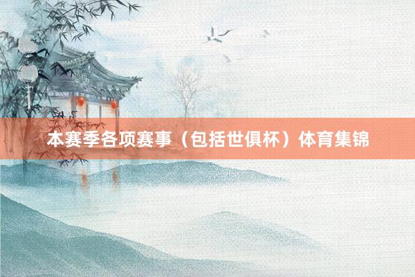 本赛季各项赛事（包括世俱杯）体育集锦