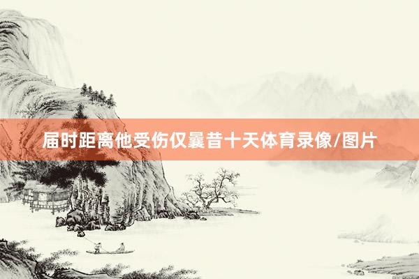 届时距离他受伤仅曩昔十天体育录像/图片