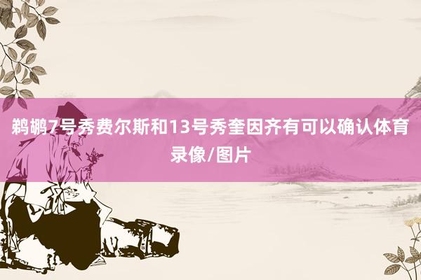 鹈鹕7号秀费尔斯和13号秀奎因齐有可以确认体育录像/图片