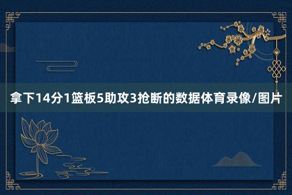 拿下14分1篮板5助攻3抢断的数据体育录像/图片