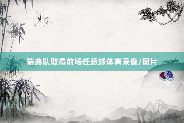 瑞典队取得前场任意球体育录像/图片