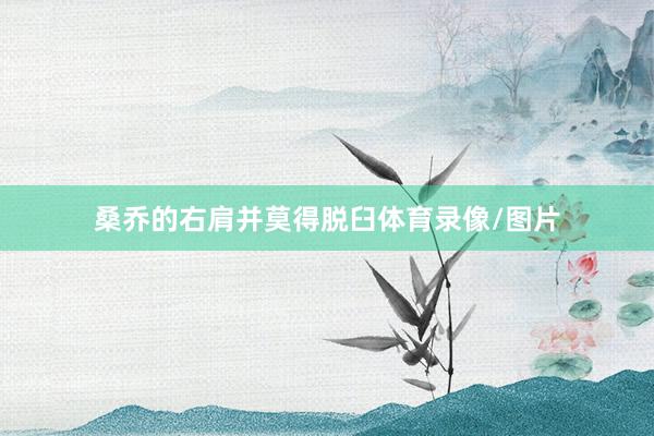 桑乔的右肩并莫得脱臼体育录像/图片