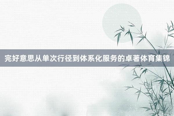 完好意思从单次行径到体系化服务的卓著体育集锦