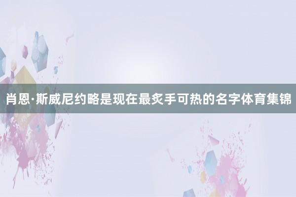 肖恩·斯威尼约略是现在最炙手可热的名字体育集锦