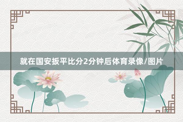 就在国安扳平比分2分钟后体育录像/图片