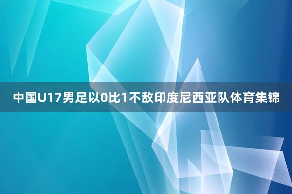 中国U17男足以0比1不敌印度尼西亚队体育集锦