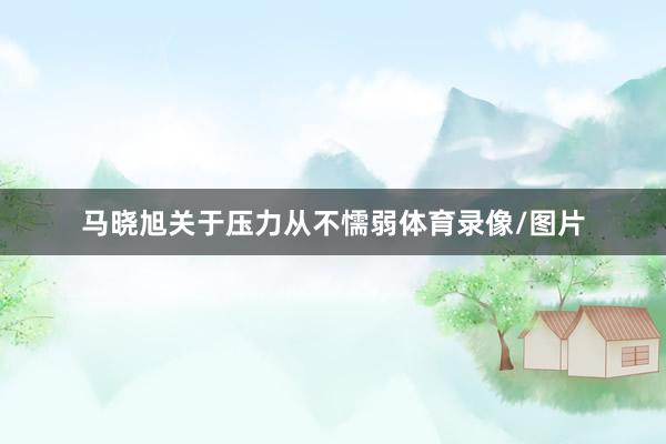 马晓旭关于压力从不懦弱体育录像/图片