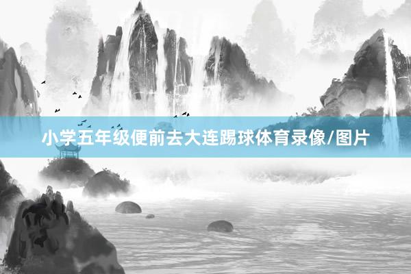 小学五年级便前去大连踢球体育录像/图片