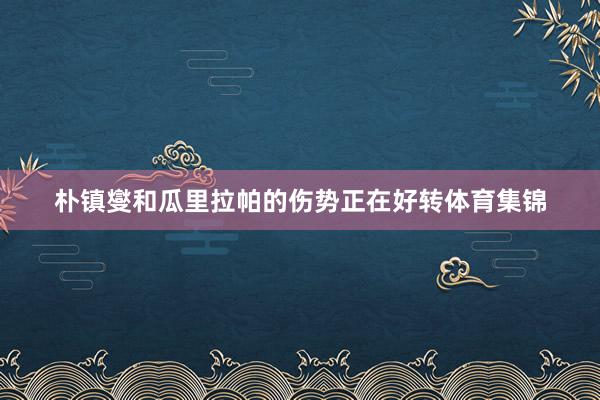 朴镇燮和瓜里拉帕的伤势正在好转体育集锦
