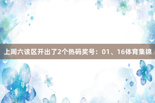 上周六该区开出了2个热码奖号：01、16体育集锦
