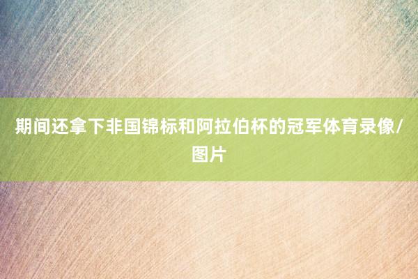 期间还拿下非国锦标和阿拉伯杯的冠军体育录像/图片